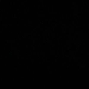 Meet your Posher, Teri